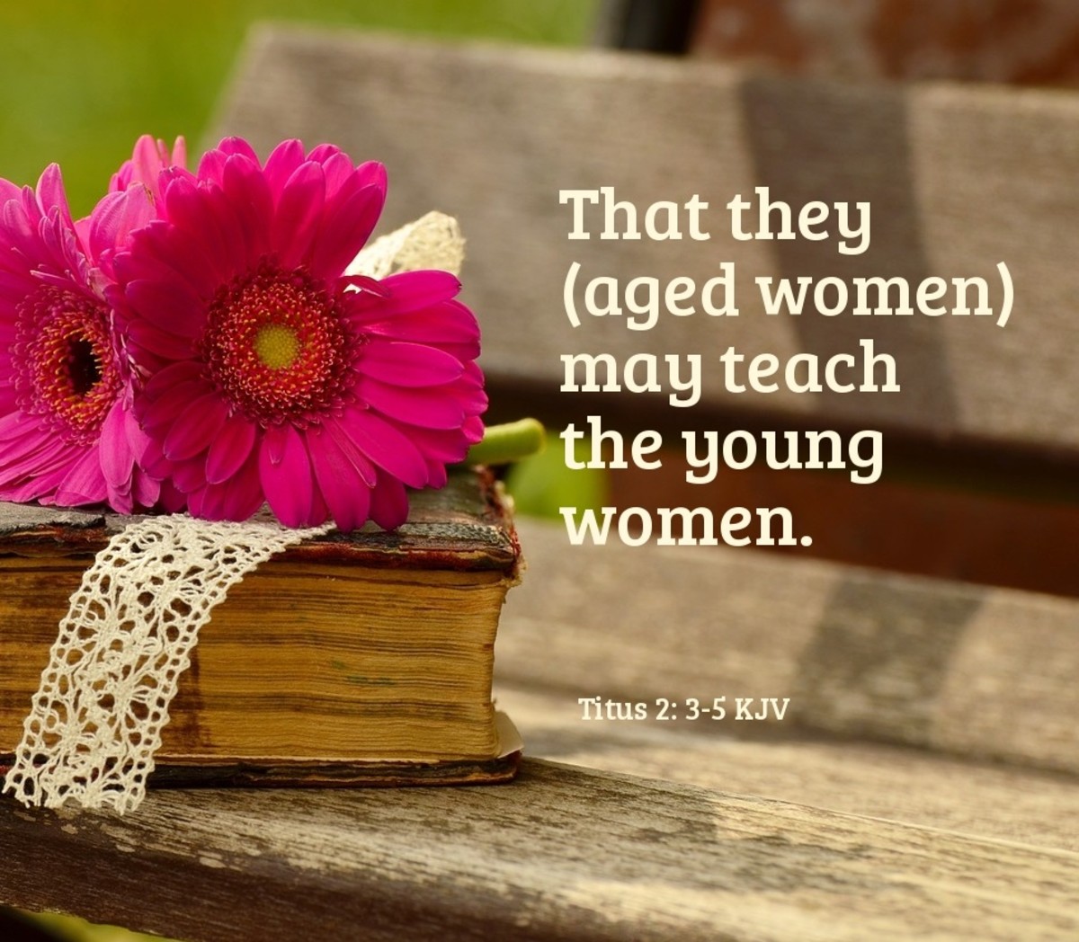 Titus 2:2